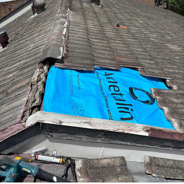 Rope Access Project - Abseiling Group Sydney